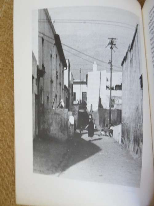 WILLIAM STREET DISTRICT SIX  by Hettie Adams and Hermione Suttner