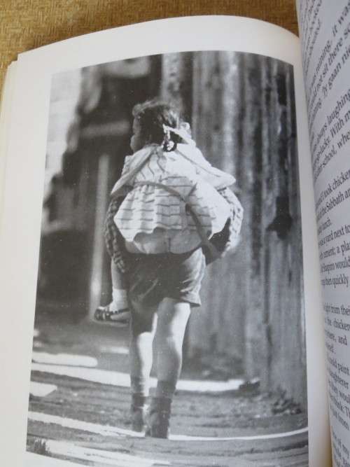 WILLIAM STREET DISTRICT SIX  by Hettie Adams and Hermione Suttner