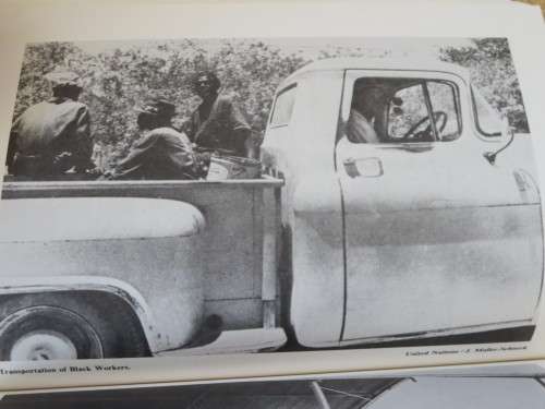 NAMIBIA - THE STRUGGLE FOR LIBERATION  by Alfred T. Moleah