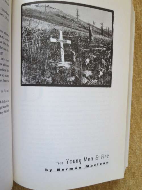 WILD  Edited  by Clint Willis. Stories of survival from the world`s most dangerous places