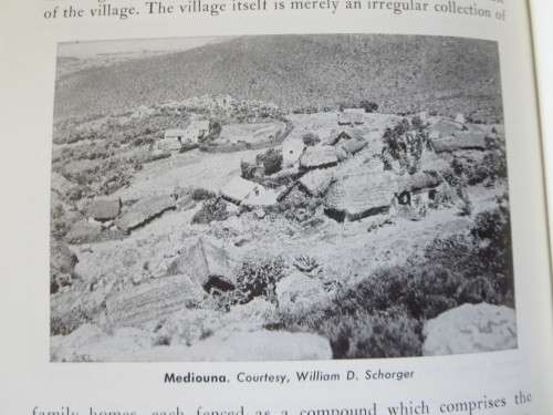 PROFILES IN ETHNOLOGY  by Elman R. Service (A profile of primitive culture)
