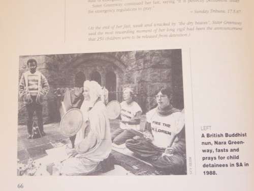 THE PURPLE SHALL GOVERN!  by Dene Smuts and Shauna Westcott SA  A to Z of nonviolent action
