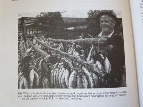 AS DIE SKIPPER OP DIE VOORSTEWE STAAN!  Geskryf deur Johnnie Eigelaar