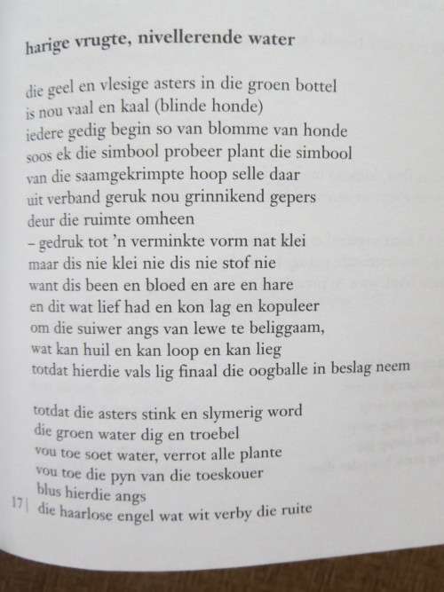 YSTERKOEI-BLUES  Versamelde gedigte 1964 - 1975  deur Breyten Breytenbach