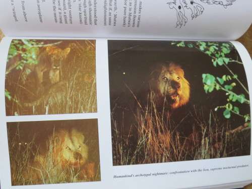 MYSTERY OF THE WHITE LIONS  Children of the Sun God  by Linda Tucker