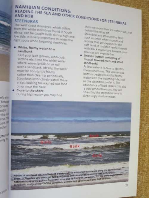 READING THE SEA  AND OTHER SECRETS OF SEA  ANGLING  by Nickie Louwrens