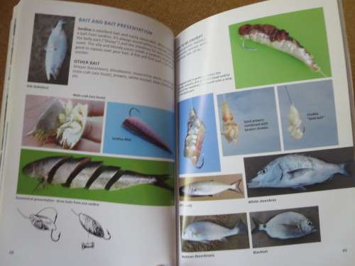 READING THE SEA  AND OTHER SECRETS OF SEA  ANGLING  by Nickie Louwrens