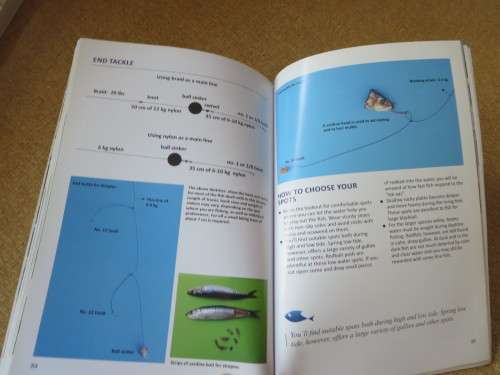 READING THE SEA  AND OTHER SECRETS OF SEA  ANGLING  by Nickie Louwrens