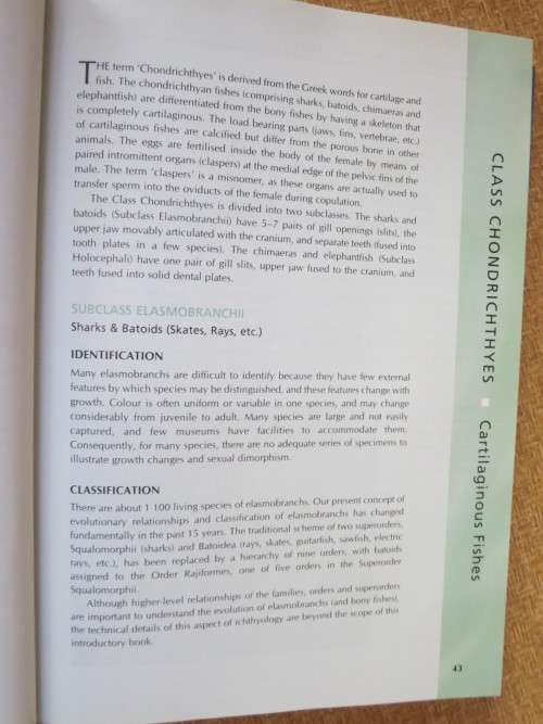 COASTAL FISHES OF SOUTHERN AFRICA  by Phil and Elaine Heemstra