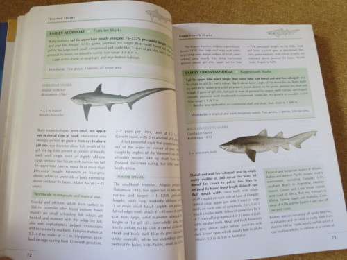 COASTAL FISHES OF SOUTHERN AFRICA  by Phil and Elaine Heemstra