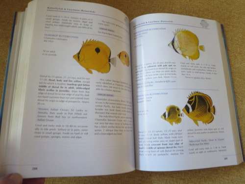 COASTAL FISHES OF SOUTHERN AFRICA  by Phil and Elaine Heemstra