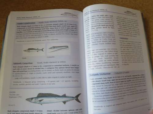 COASTAL FISHES OF SOUTHERN AFRICA  by Phil and Elaine Heemstra