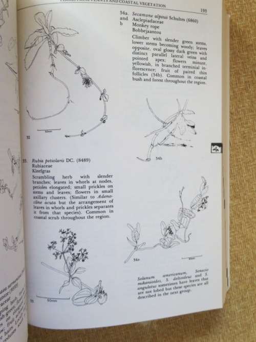 A FIELD GUIDE TO THE EASTERN CAPE COAST  by Roy Lubke, Fred Gess, Mike Bruton