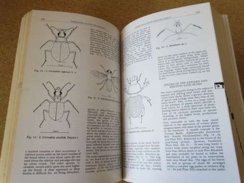 A FIELD GUIDE TO THE EASTERN CAPE COAST  by Roy Lubke, Fred Gess, Mike Bruton