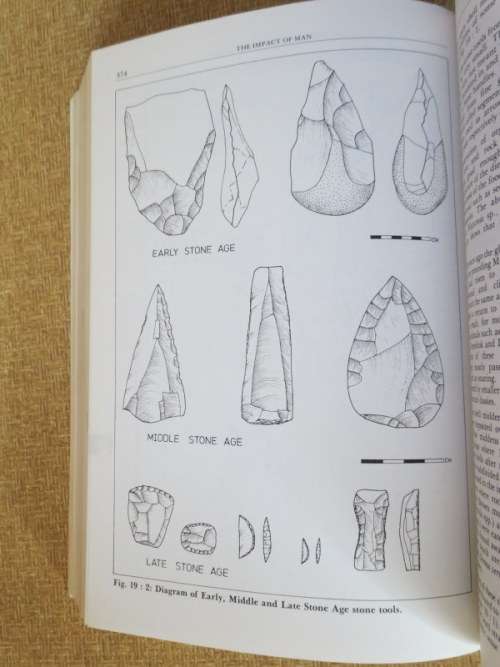 A FIELD GUIDE TO THE EASTERN CAPE COAST  by Roy Lubke, Fred Gess, Mike Bruton