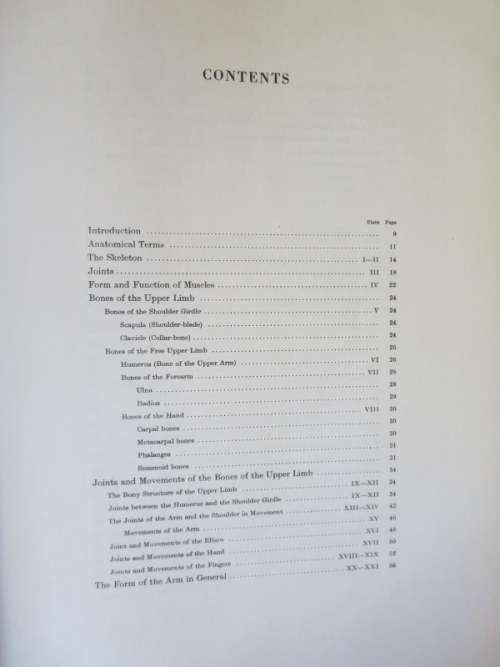 ANATOMY FOR THE ARTIST  by Jenö Barcsay