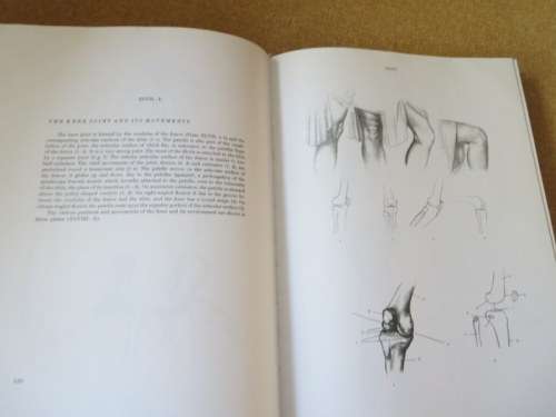 ANATOMY FOR THE ARTIST  by Jenö Barcsay