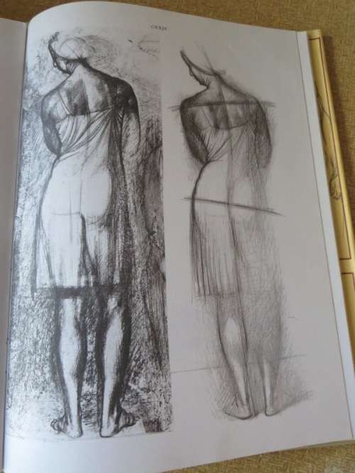 ANATOMY FOR THE ARTIST  by Jenö Barcsay