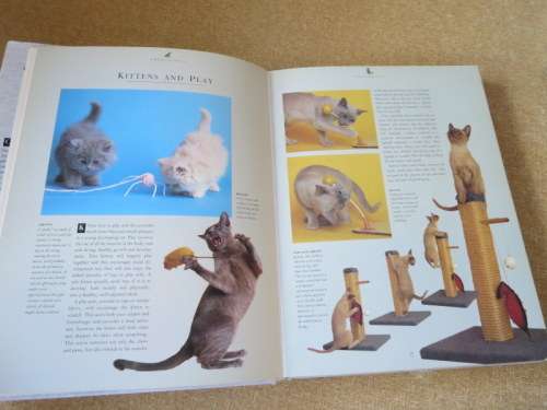 THE COMPLETE CAT BOOK  by Paddy Cutts (Encyclopedia of cats, cat breeds and cat care