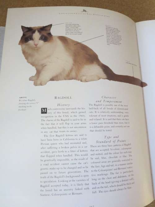 THE COMPLETE CAT BOOK  by Paddy Cutts (Encyclopedia of cats, cat breeds and cat care