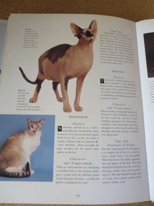 THE COMPLETE CAT BOOK  by Paddy Cutts (Encyclopedia of cats, cat breeds and cat care
