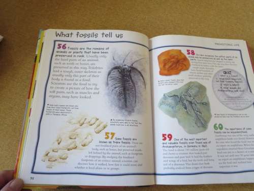 CHILDREN`S ENCYCLOPEDIA: DINOSAURS AND PREHISTORIC LIFE  by Miles Kelly Publishing