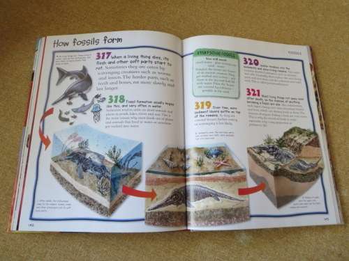 CHILDREN`S ENCYCLOPEDIA: DINOSAURS AND PREHISTORIC LIFE  by Miles Kelly Publishing