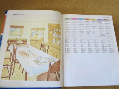 MULTI-LANGUAGE DICTIONARY AND PHRASE BOOK  English, Afrikaans,N-Sotho Sesotho, Xhosa, Zulu,Tswana