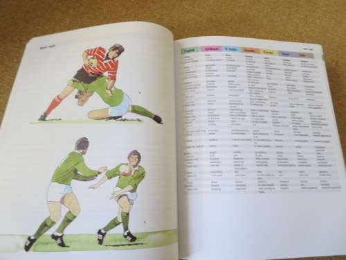 MULTI-LANGUAGE DICTIONARY AND PHRASE BOOK  English, Afrikaans,N-Sotho Sesotho, Xhosa, Zulu,Tswana