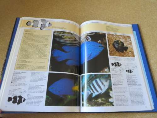 THE PRACTICAL ENCYCLOPEDIA  OF THE MARINE AQUARIUM  by Dick Mills