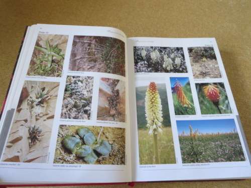 RED LIST OF SOUTH AFRICAN PLANTS 2009  by Raimondo, Van Staden, Foden and other editors