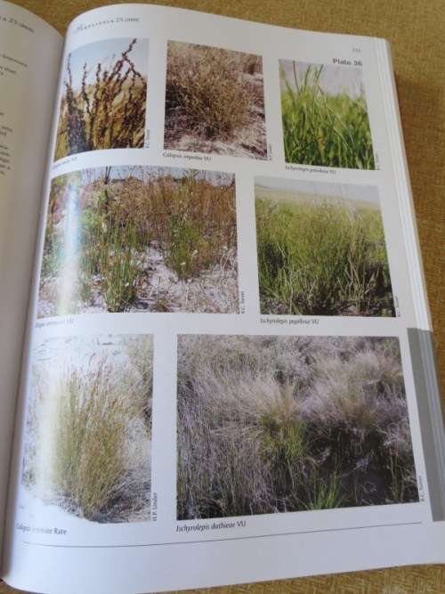 RED LIST OF SOUTH AFRICAN PLANTS 2009  by Raimondo, Van Staden, Foden and other editors