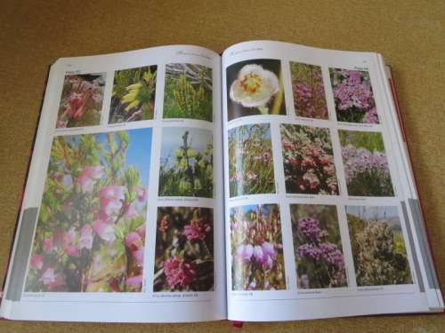RED LIST OF SOUTH AFRICAN PLANTS 2009  by Raimondo, Van Staden, Foden and other editors