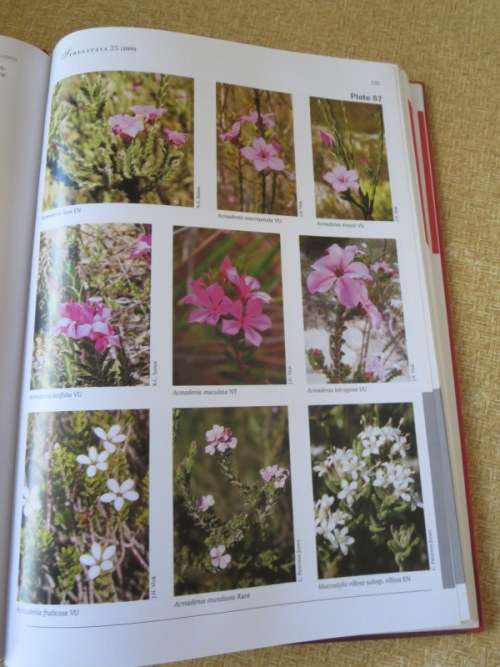 RED LIST OF SOUTH AFRICAN PLANTS 2009  by Raimondo, Van Staden, Foden and other editors