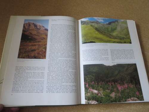 A FYNBOS YEAR  Text: Michael Fraser  Illustrations: Liz McMahon