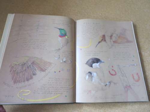 A FYNBOS YEAR  Text: Michael Fraser  Illustrations: Liz McMahon