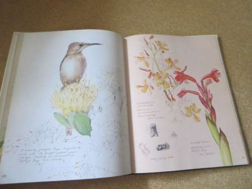 A FYNBOS YEAR  Text: Michael Fraser  Illustrations: Liz McMahon