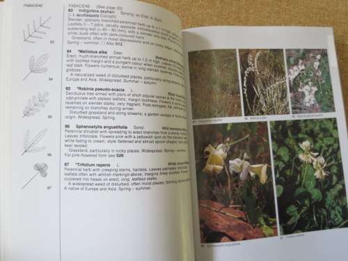 FIELD GUIDE TO THE WILD FLOWERS OF THE HIGHVELD  by Braam van Wyk and Sasa Malan