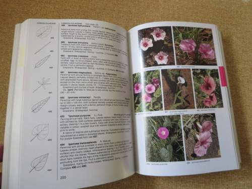 FIELD GUIDE TO THE WILD FLOWERS OF THE HIGHVELD  by Braam van Wyk and Sasa Malan