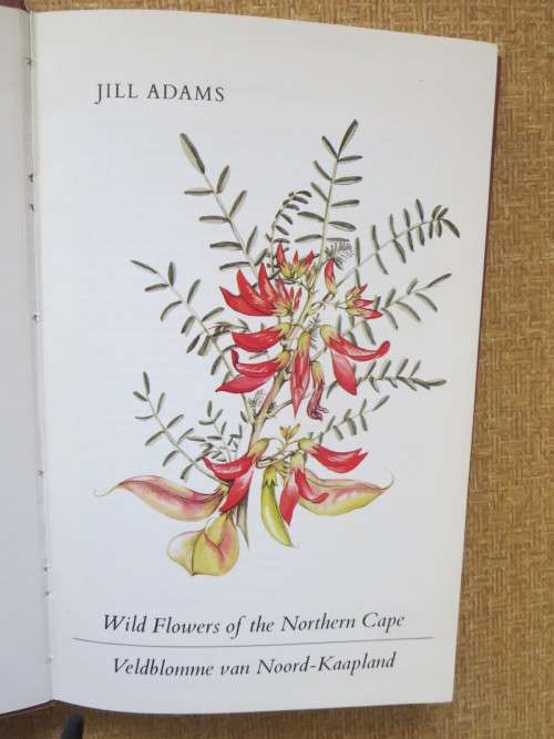 WILD FLOWERS OF THE NORTHERN CAPE / VELDBLOMME VAN NOORD-KAAPLAND  by Jill Adams