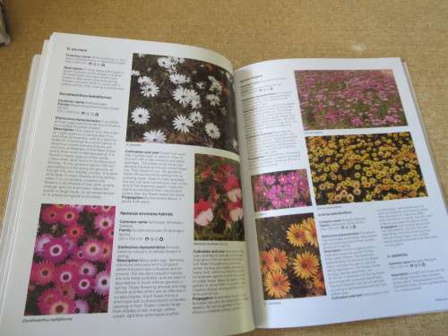 GARDENING WITH INDIGENOUS PLANTS  by Kristo Pienaar