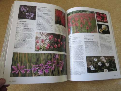 GARDENING WITH INDIGENOUS PLANTS  by Kristo Pienaar