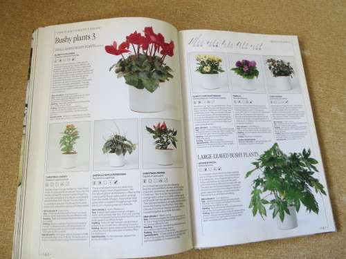 THE INDOOR GARDEN BOOK  by John Brookes  (Creative use of plants and flowers in the home)