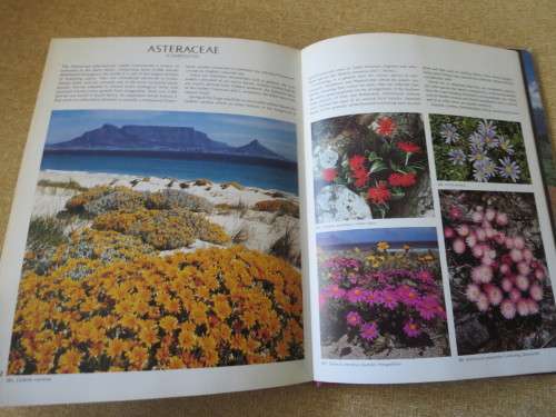 WILD FLOWERS OF SOUTH AFRICA  Approved by National Botanic Gardens SA Kirstenbosch
