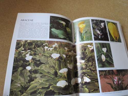 WILD FLOWERS OF SOUTH AFRICA  Approved by National Botanic Gardens of SA, Kirstenbosch
