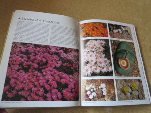 WILD FLOWERS OF SOUTH AFRICA  Approved by National Botanic Gardens of SA, Kirstenbosch