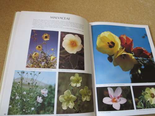 WILD FLOWERS OF SOUTH AFRICA  Approved by National Botanic Gardens of SA, Kirstenbosch