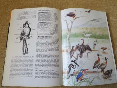 Pilansberg  JEWEL OF BOPHUTHATSWANA  by Michael R. Brett