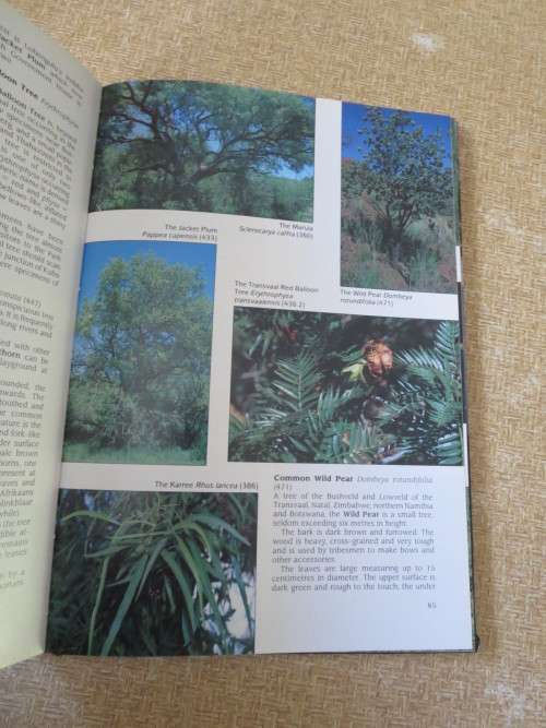 Pilansberg  JEWEL OF BOPHUTHATSWANA  by Michael R. Brett