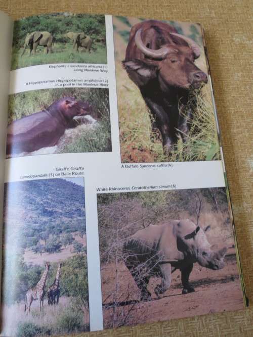 Pilansberg  JEWEL OF BOPHUTHATSWANA  by Michael R. Brett